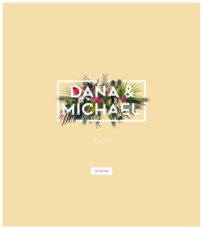 Dana and Michael's Wedding