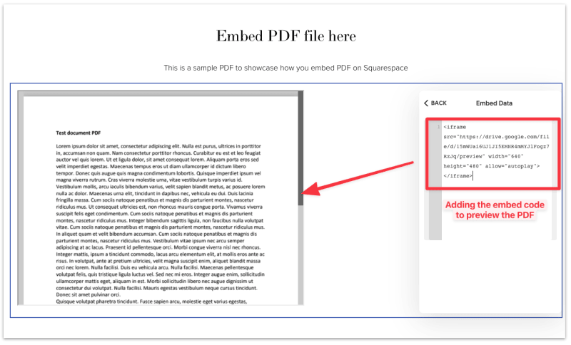 Add the embed code and you will see a preview of the pdf