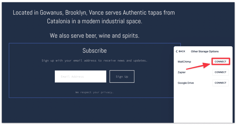 Connect Squarespace to MailChimp