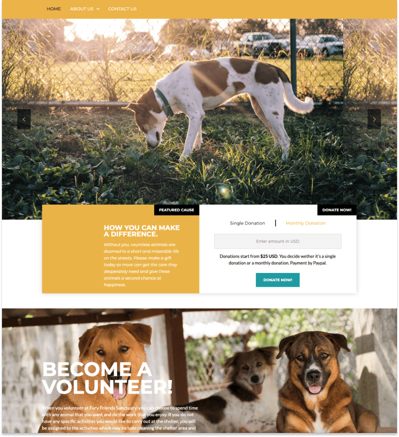 Furry Friends Sanctuary home page