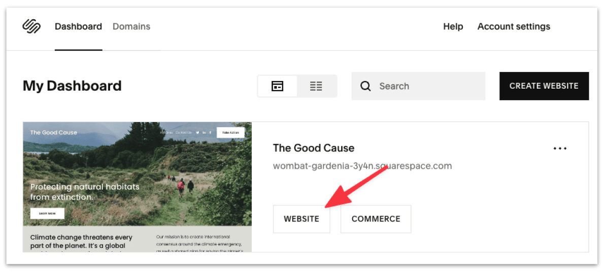 Head to your Squarespace website dashboard