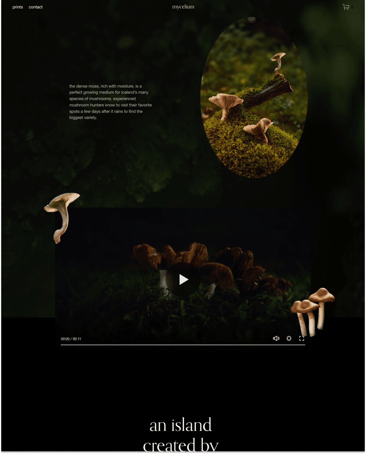 Squarespace Mycelium template video showcase