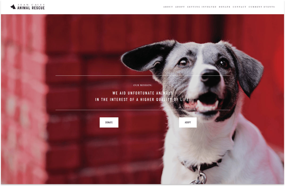 Sean Casey Animal Rescue home page