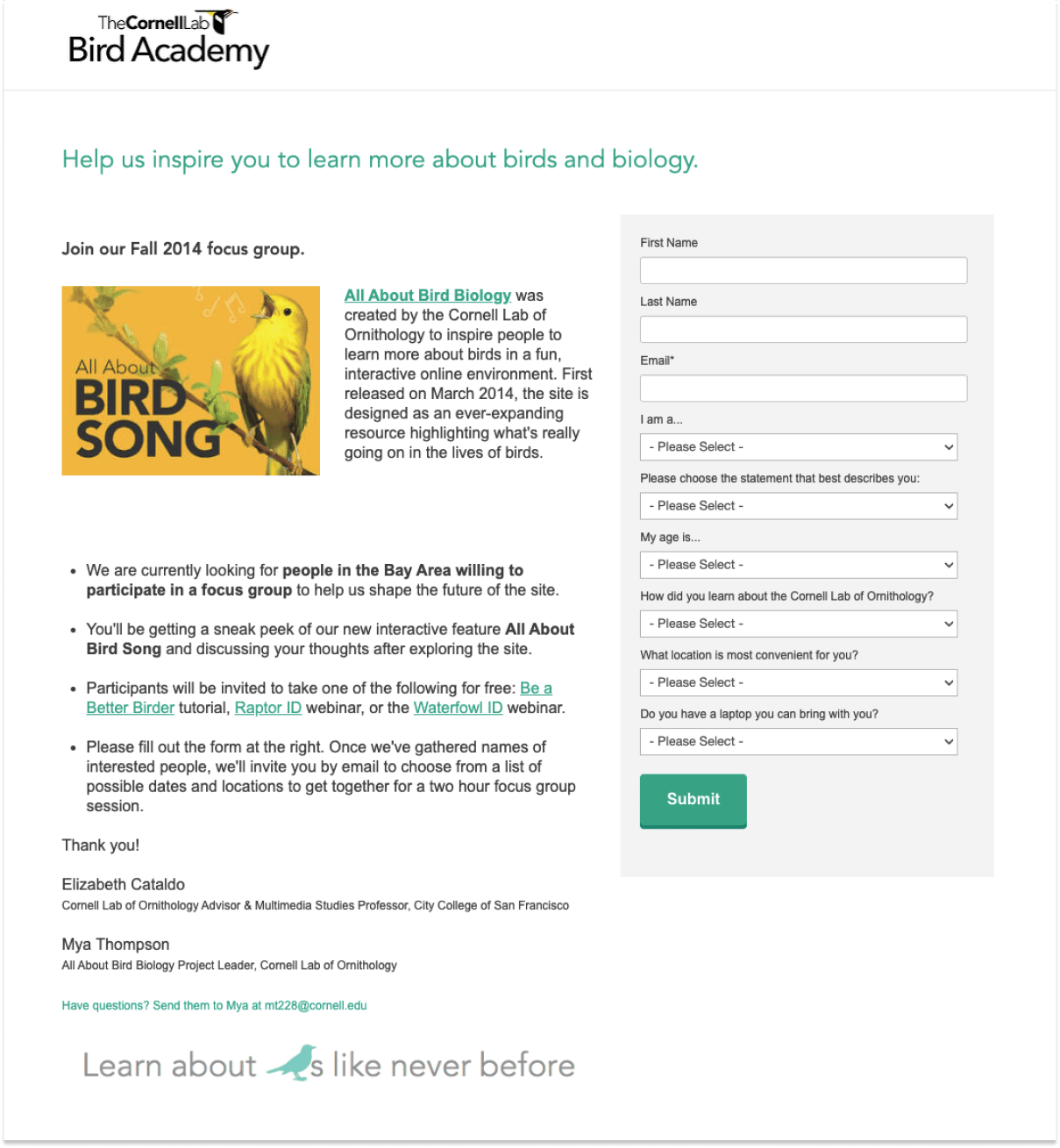 All about birds marketing site