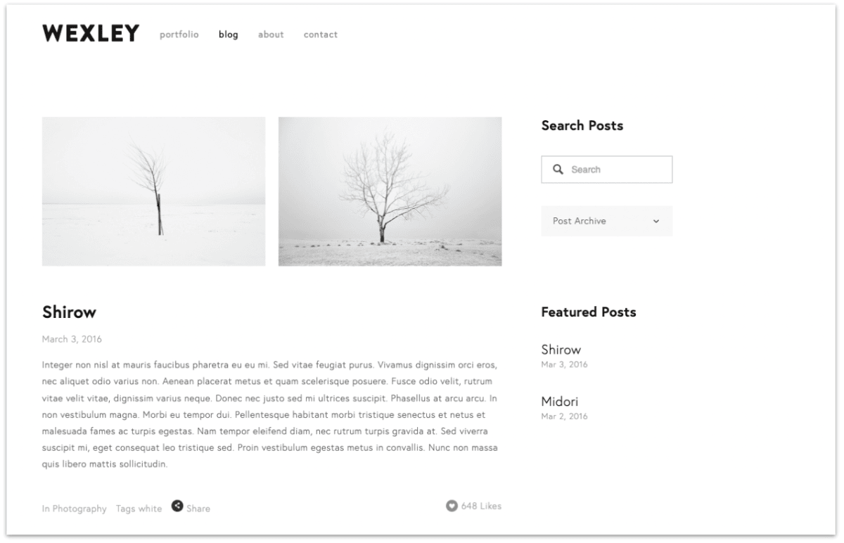 9 Popular Squarespace templates photographers use (examples)
